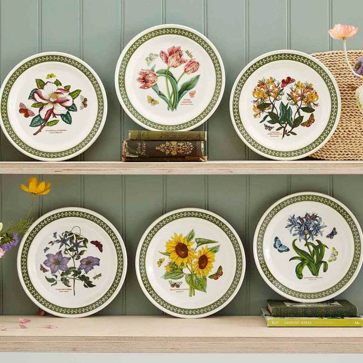 Botanic Garden Etchings, set of 6 Dinner Plates