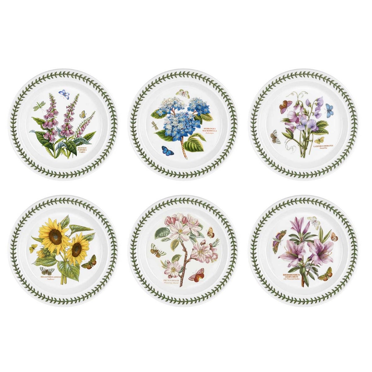 Seconds Portmeirion Botanic Garden 10 Inch Plate Set of 6 No Guarantee of Flower Design