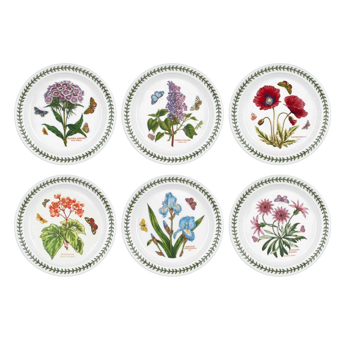 Botanic Garden Set of 6 Plates