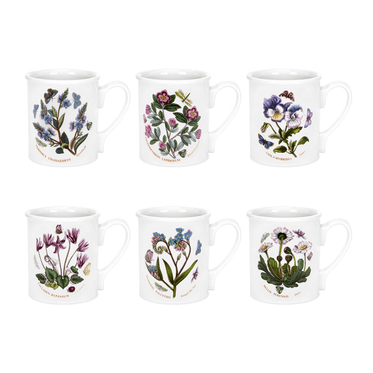 Botanic Garden Set of 6 Breakfast Mugs