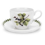 Pomona Blackberry Cup & Saucer