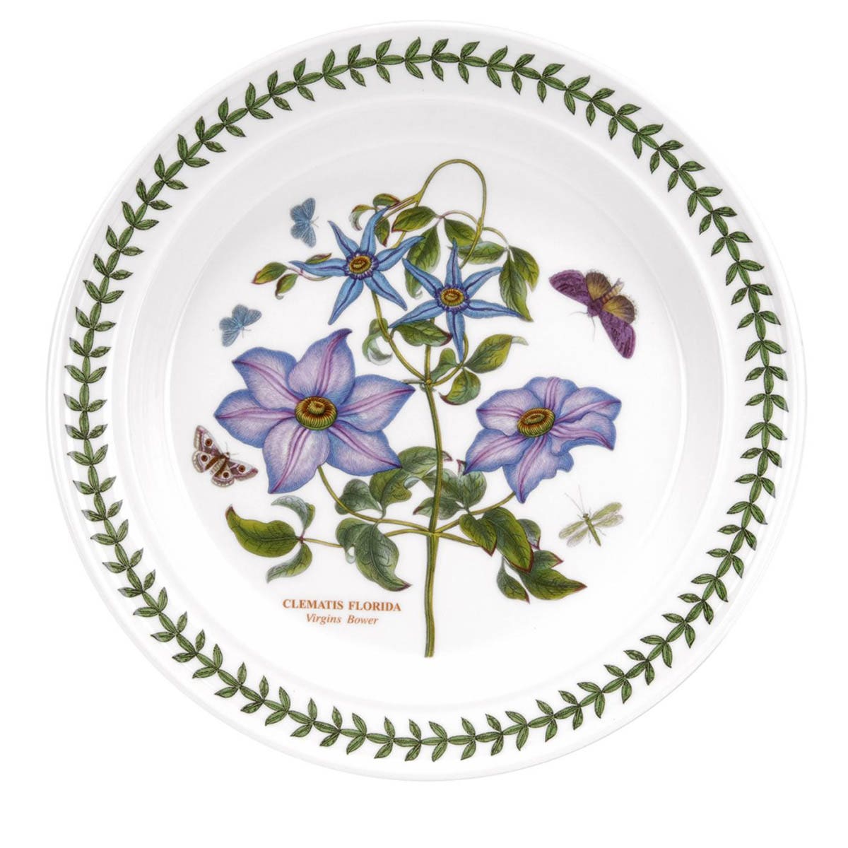 Botanic Garden Clematis Dinner Plate