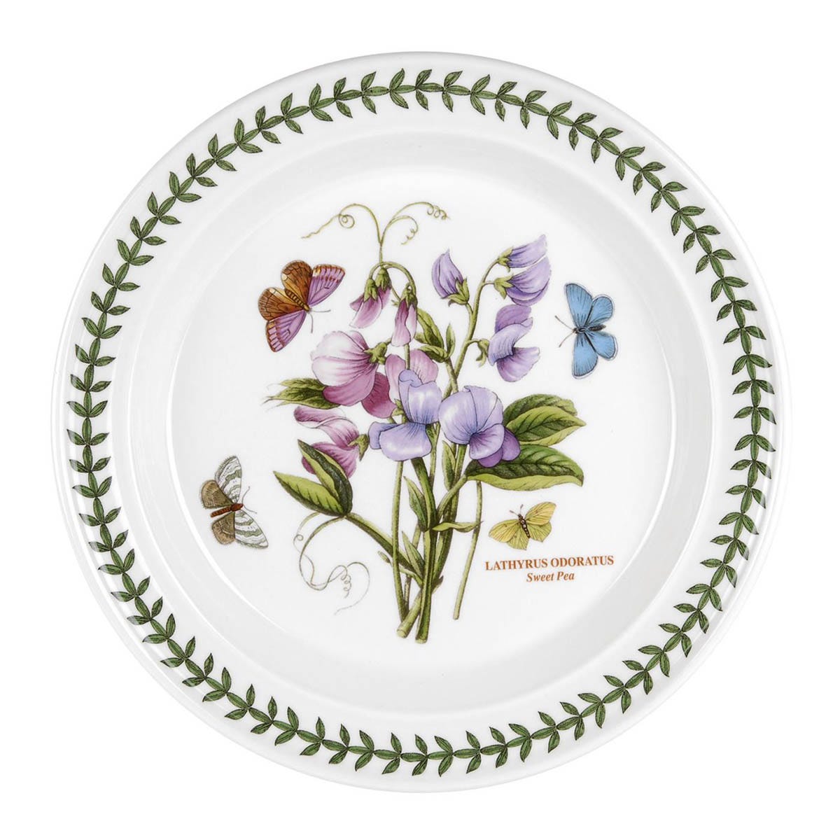 Botanic Garden Sweet Pea Dinner Plate