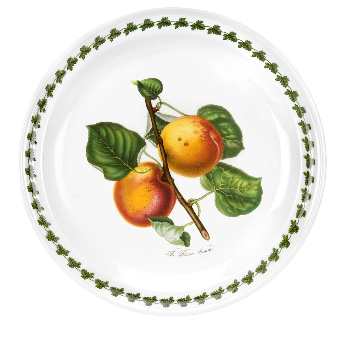 Pomona Apricot Dinner Plate