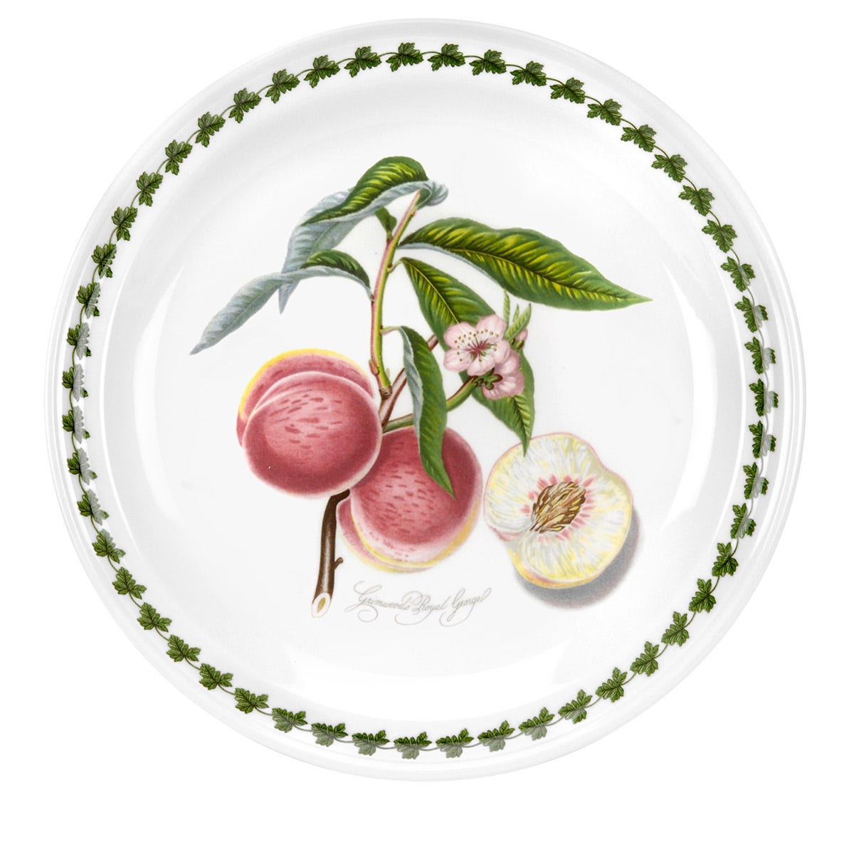 Pomona Set of 6 Dinner Plates