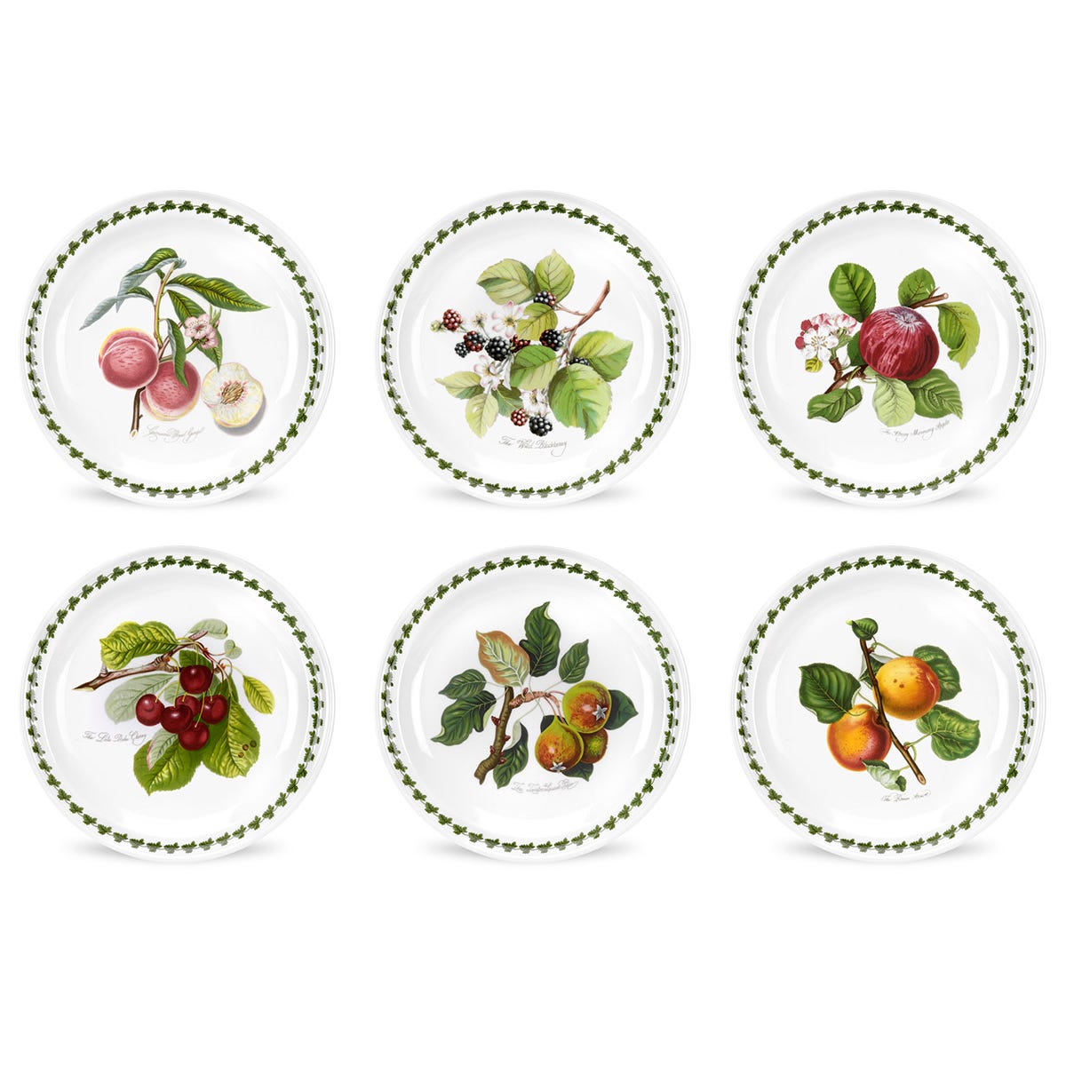 Pomona Set of 6 Dinner Plates