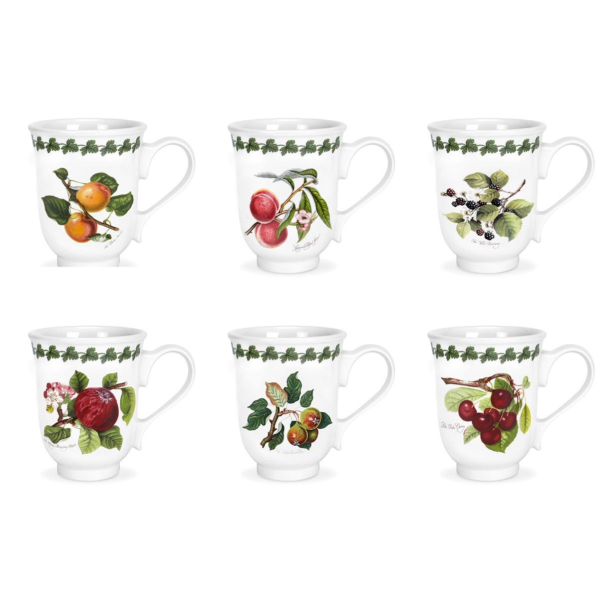 Pomona Set of 6 Bell Beaker Mugs