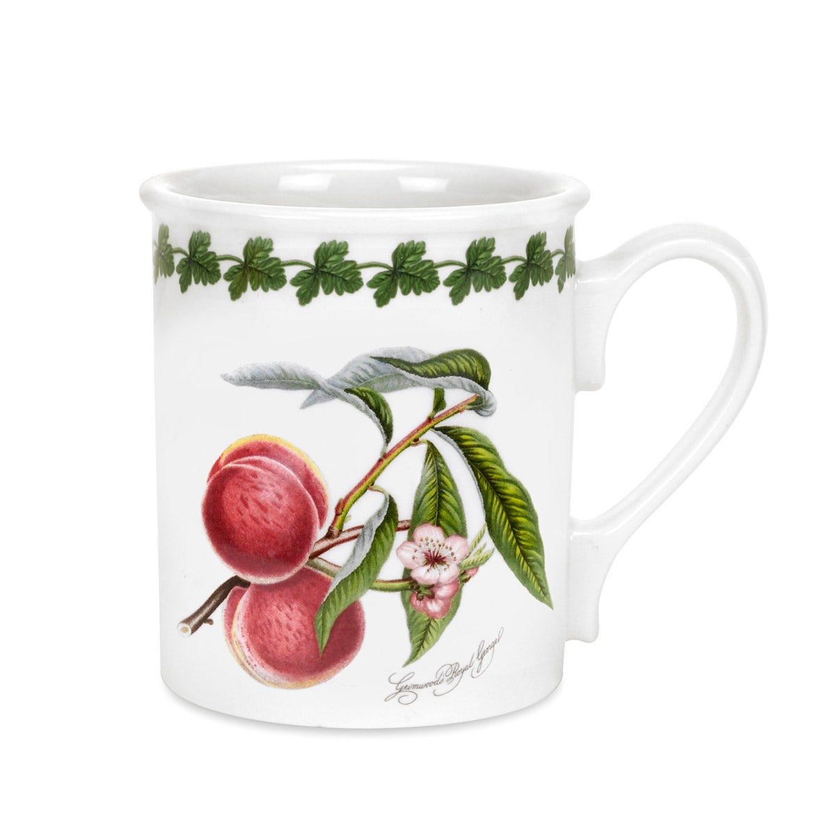 Pomona Set of 6 Breakfast Mugs