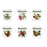 Pomona Set of 6 Breakfast Mugs