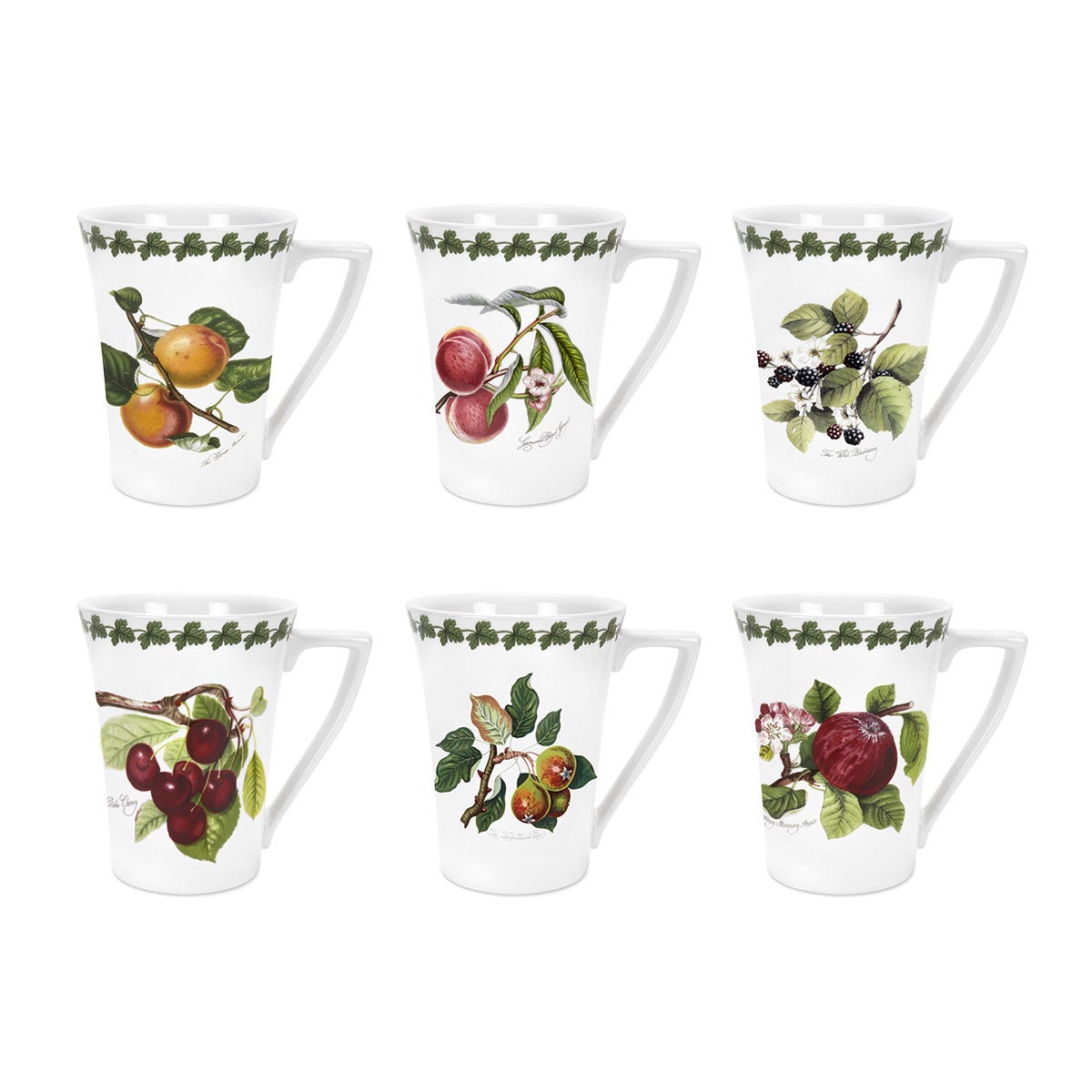 Pomona Set of 6 Mugs