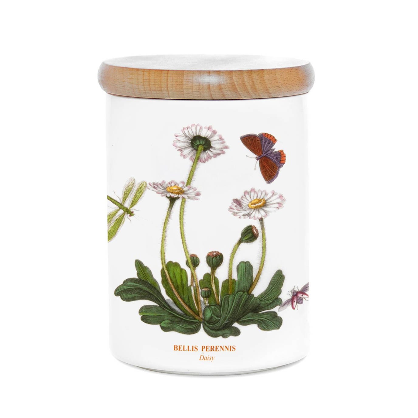 Botanic Garden Daisy Storage Jar, 14cm