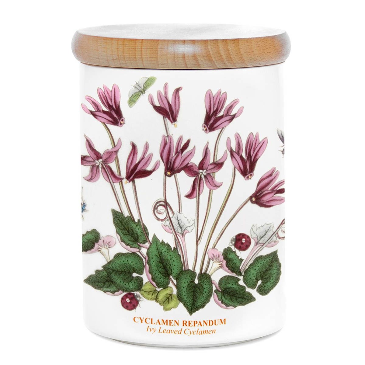 Botanic Garden Cyclamen Storage Jar, 14cm