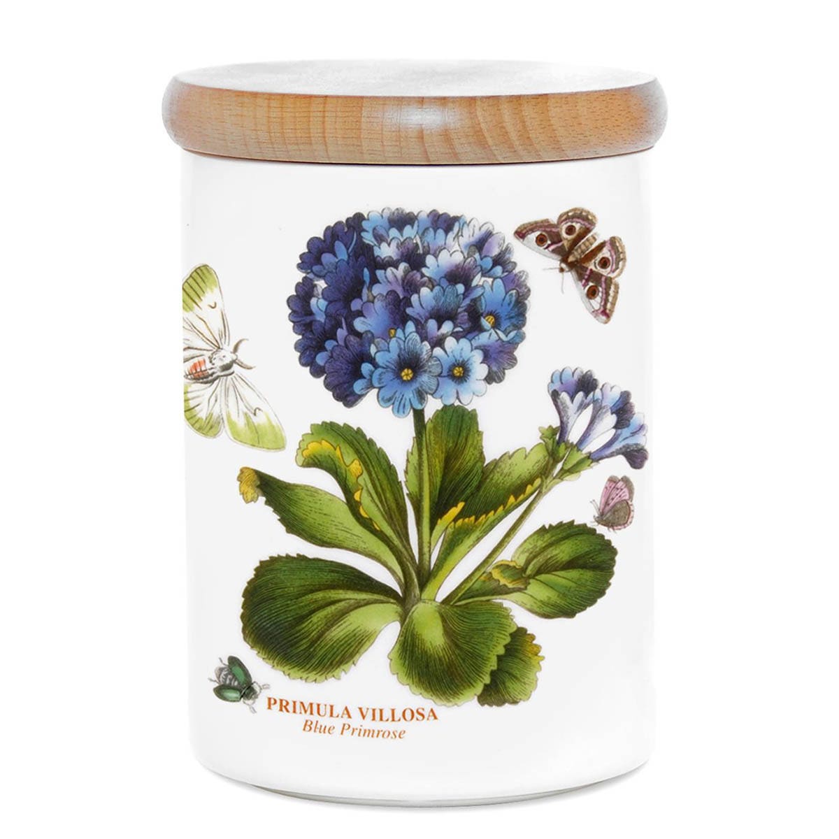 Botanic Garden Primula Storage Jar, 14cm