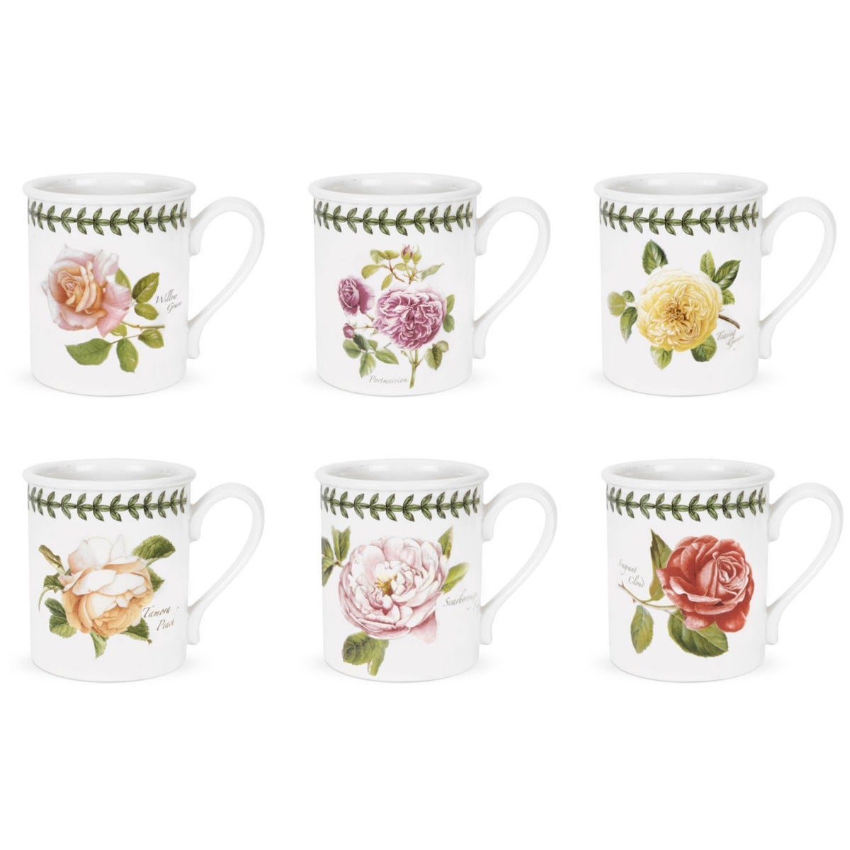 Botanic Roses Set of 6 Breakfast Mugs