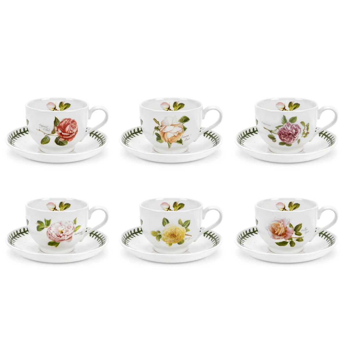 Botanic Roses Set of 6 Teacups & Saucers