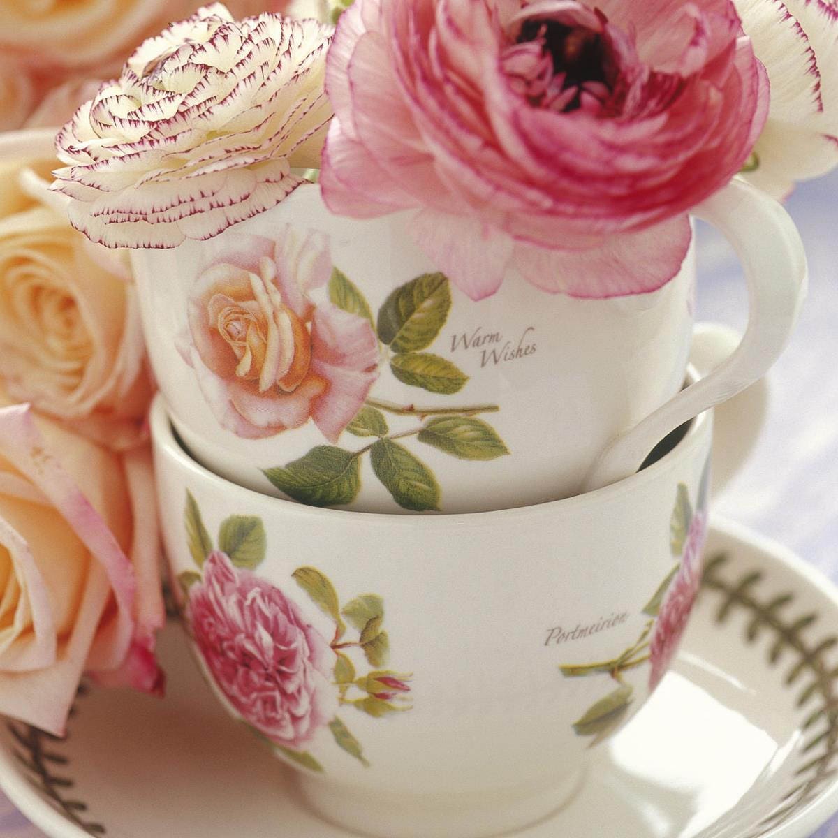 Botanic Roses Set of 6 Teacups & Saucers