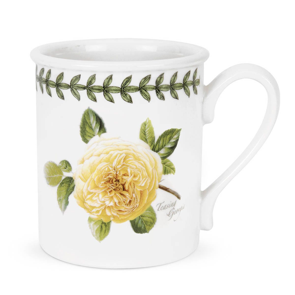 Botanic Roses Teasing Georgia Breakfast Mug