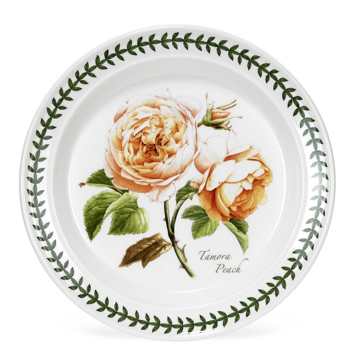 Botanic Roses Tamora Peach Dinner Plate