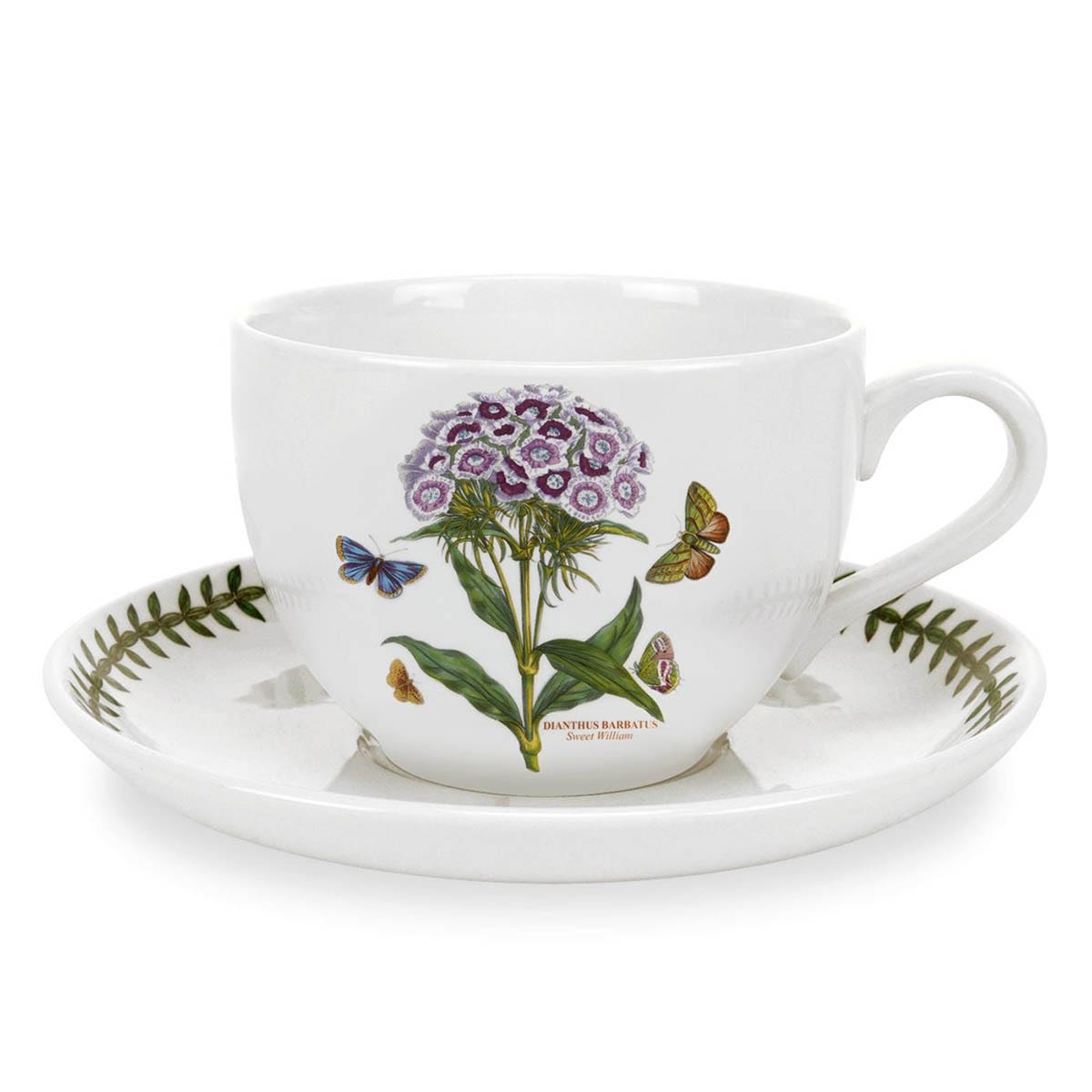 Botanic Garden Sweet William Jumbo Cup