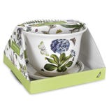 Botanic Garden Amaryllis Pot & Stand