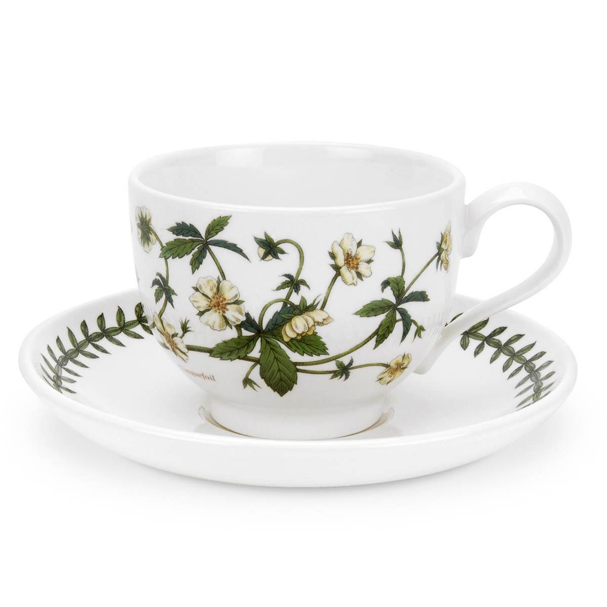 Botanic Garden Cinqufoil Teacup & Saucer