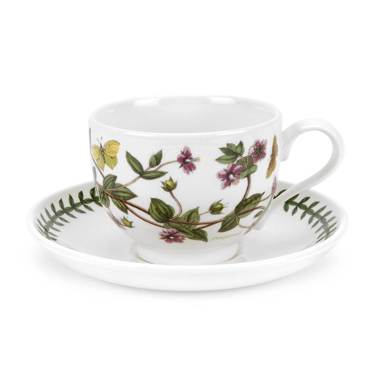 Botanic Garden Pimpernel Teacup & Saucer