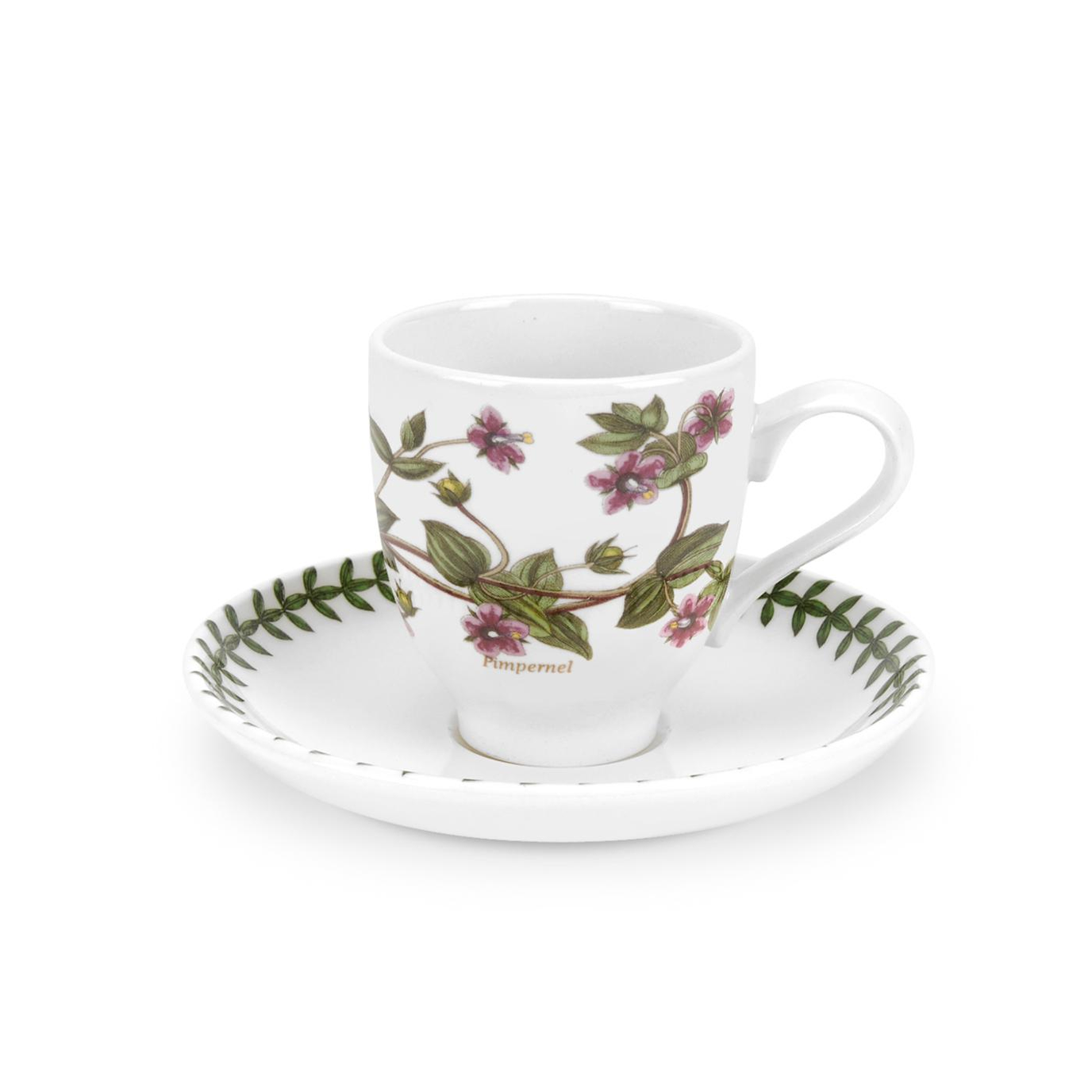 Botanic Garden Pimpernel Coffee Cup & Saucer