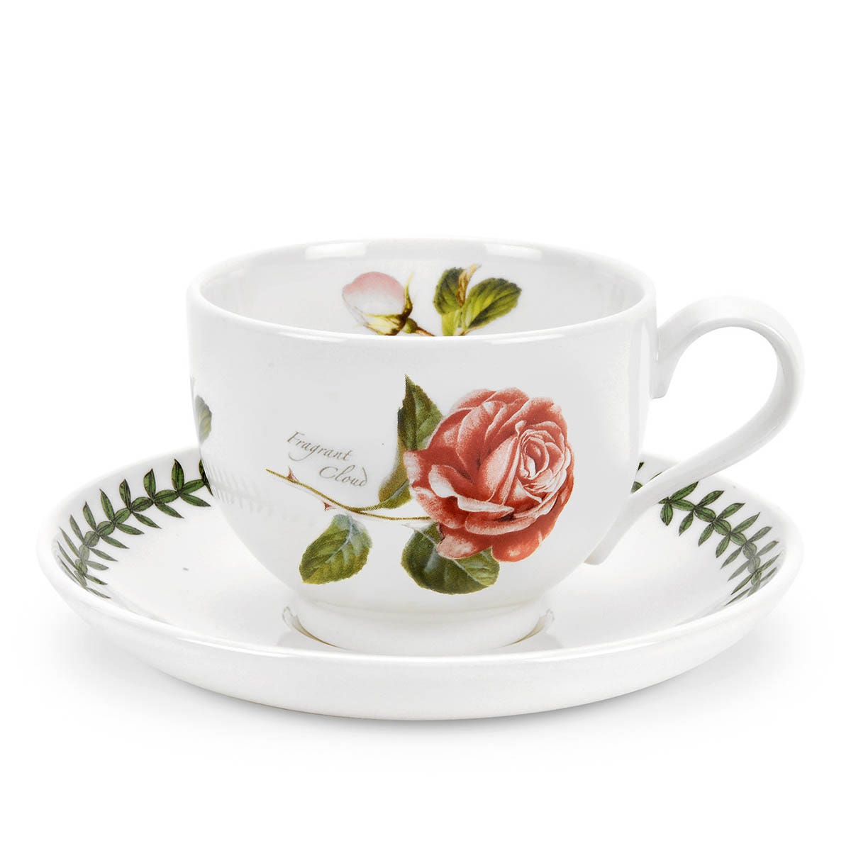 Botanic Roses Fragrant Cloud Teacup & Saucer