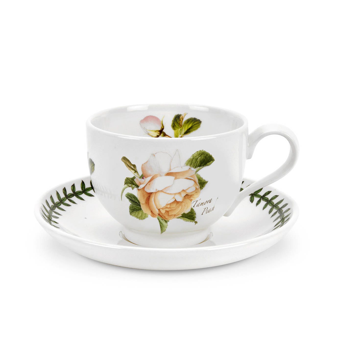 Botanic Roses Tamora Peach Tea Cup & Saucer
