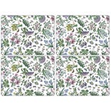 Botanic Garden Set of 4 Chintz Placemats