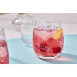 Botanic Garden Set of 4 Crystal Tumblers