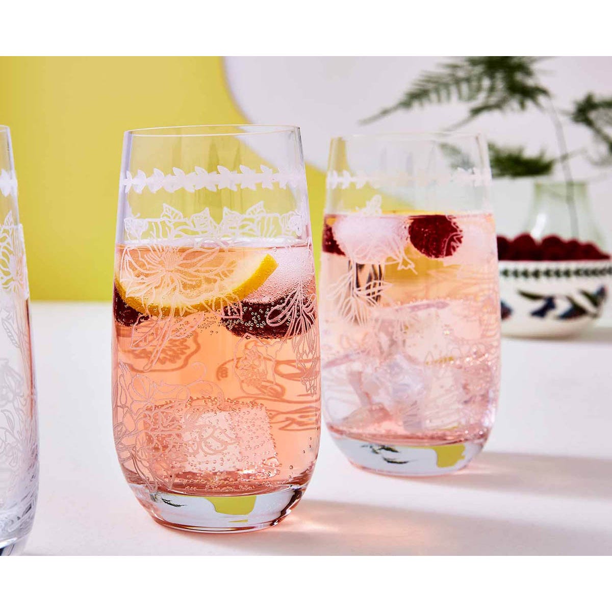 Botanic Garden Set of 4 Highball Glasses