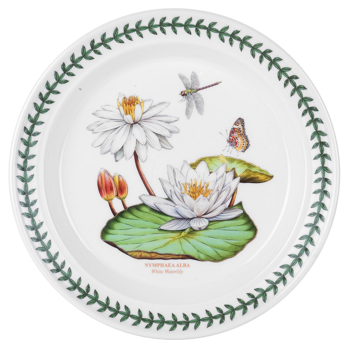 Exotic Botanic Garden Set of 6 Dinner Plates