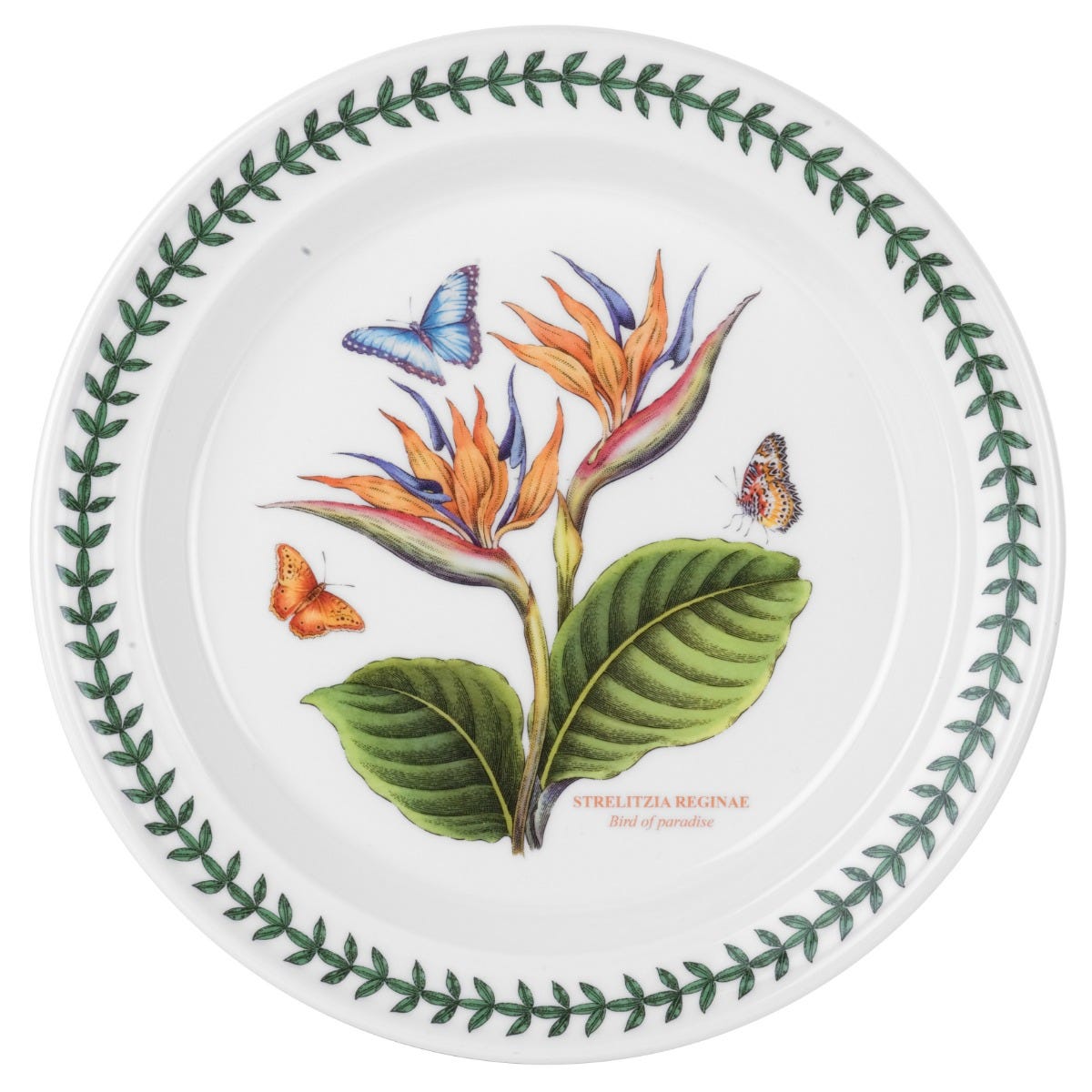 Exotic Botanic Garden Set of 6 Dinner Plates