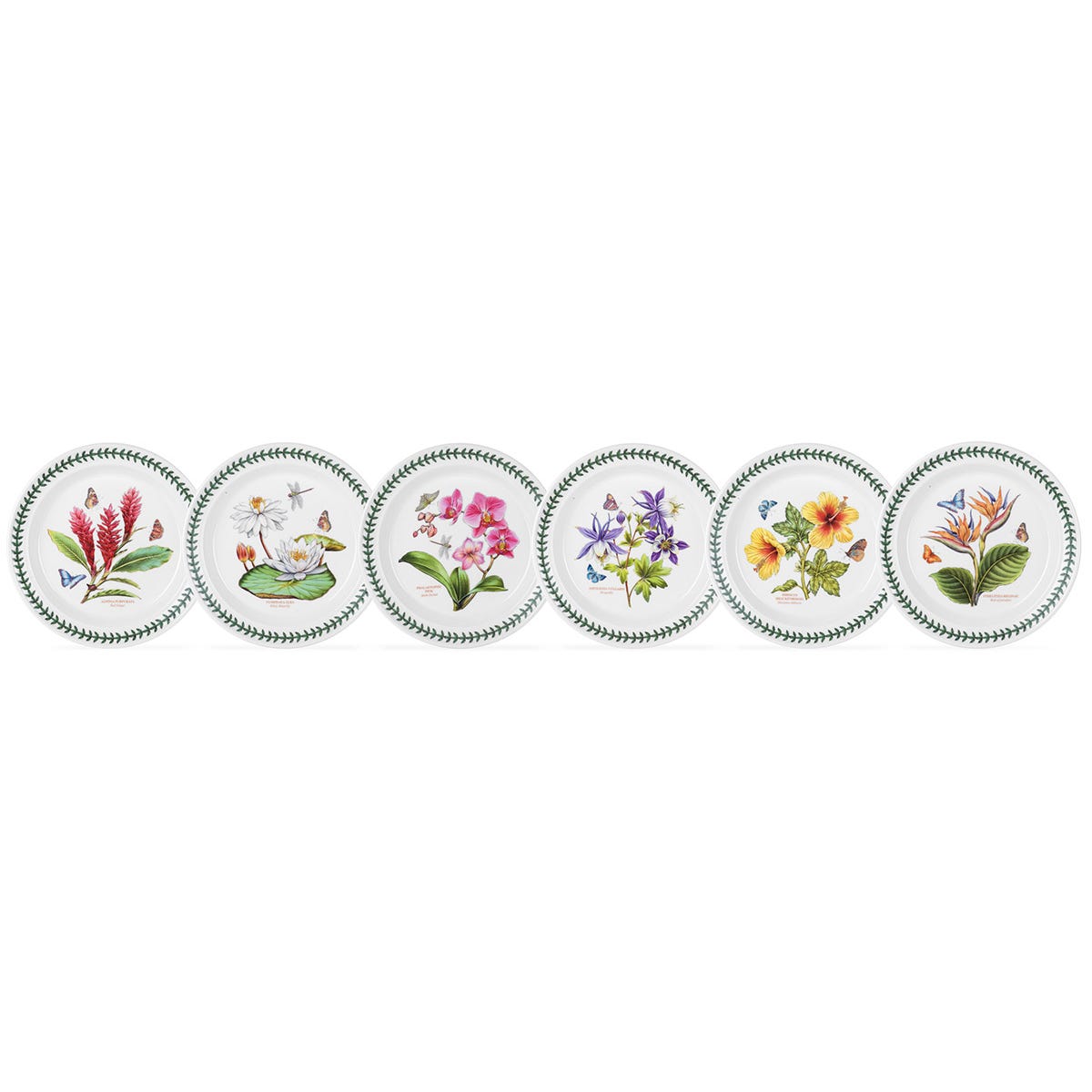 Exotic Botanic Garden Set of 6 Dinner Plates