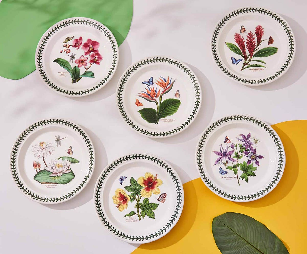 Exotic Botanic Garden Set of 6 Dinner Plates