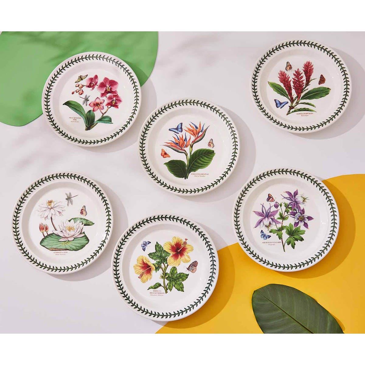 Exotic Botanic Garden Set of 6 Dinner Plates