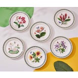 Exotic Botanic Garden Set of 6 Dinner Plates