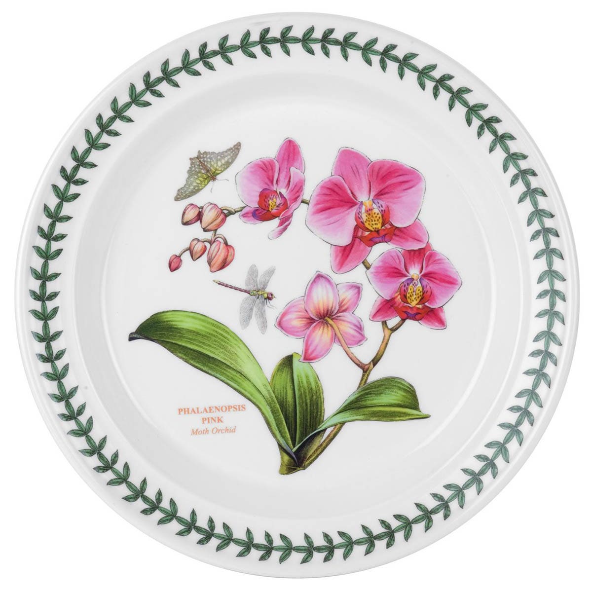 Exotic Botanic Garden Orchid Dinner Plate