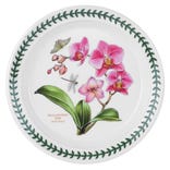 Exotic Botanic Garden Moth Orchid Plate, 20cm