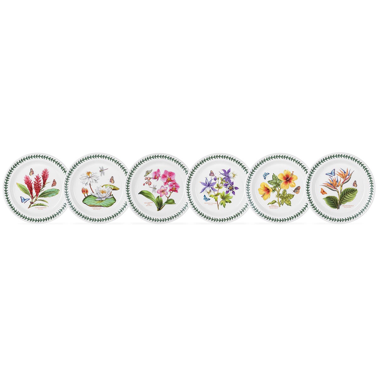 Exotic Botanic Garden Plate Set, 20cm