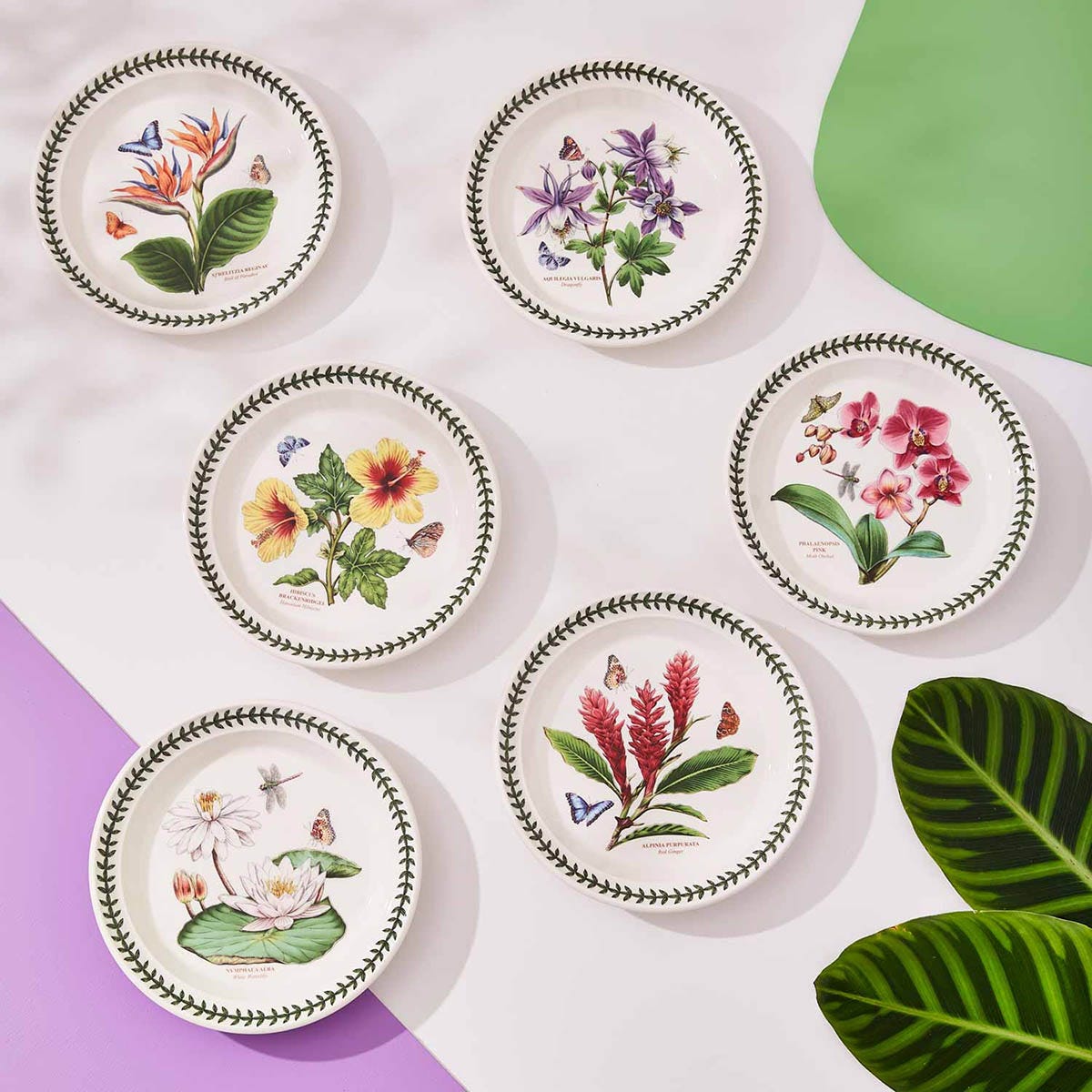 Exotic Botanic Garden Plate Set, 20cm