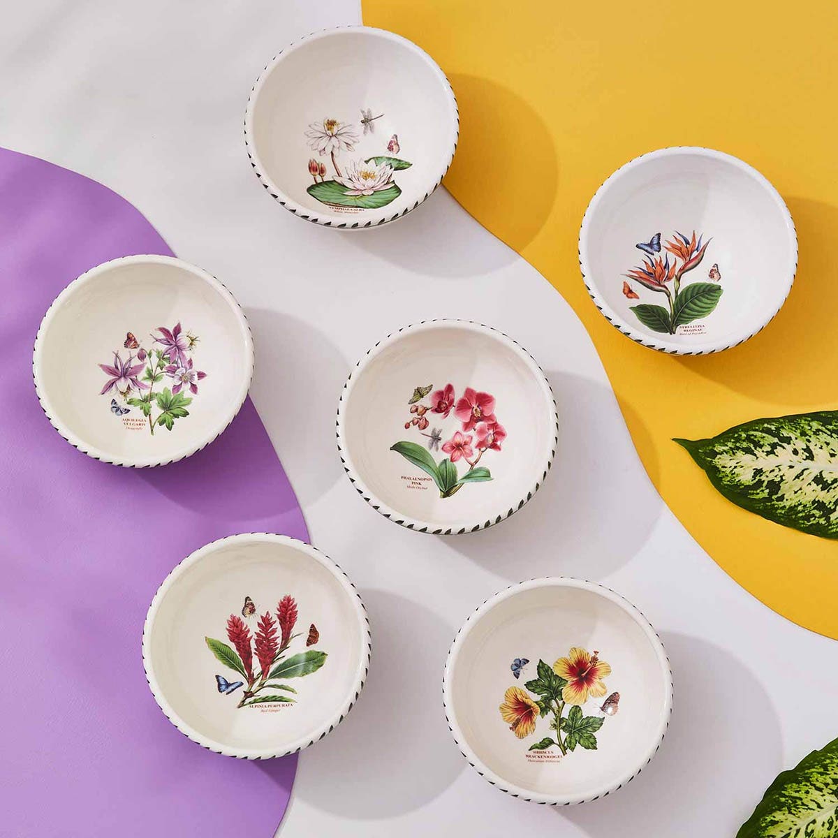 Exotic Botanic Garden Set of 6 Bowls, 14cm