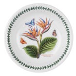 Exotic Botanic Garden Bird of Paradise Pasta Bowl