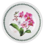 Exotic Botanic Garden Moth Orchid Pasta Bowl