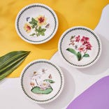 Exotic Botanic Garden Set of 6 Pasta Bowls