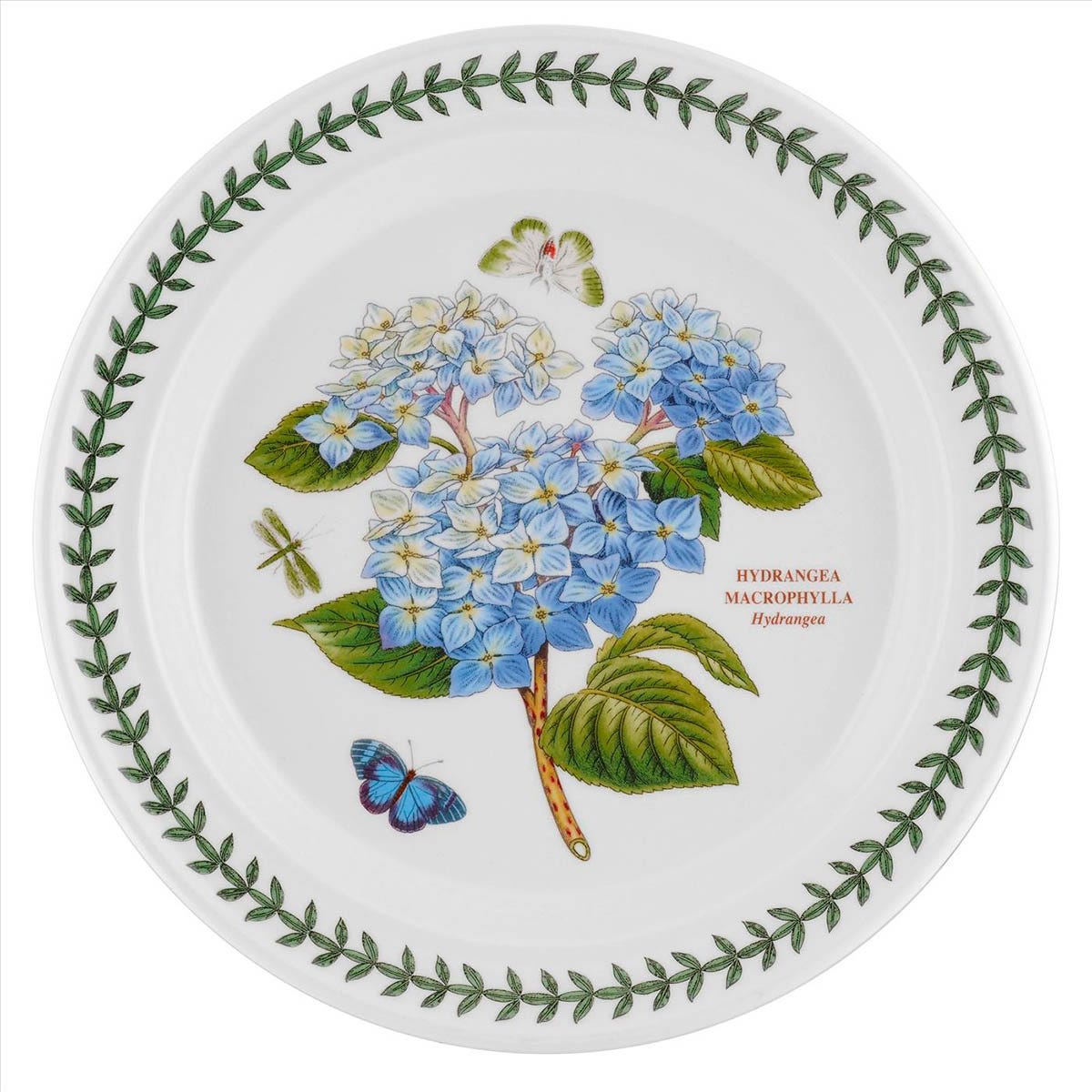 Botanic Garden Hydrangea Dinner Plate