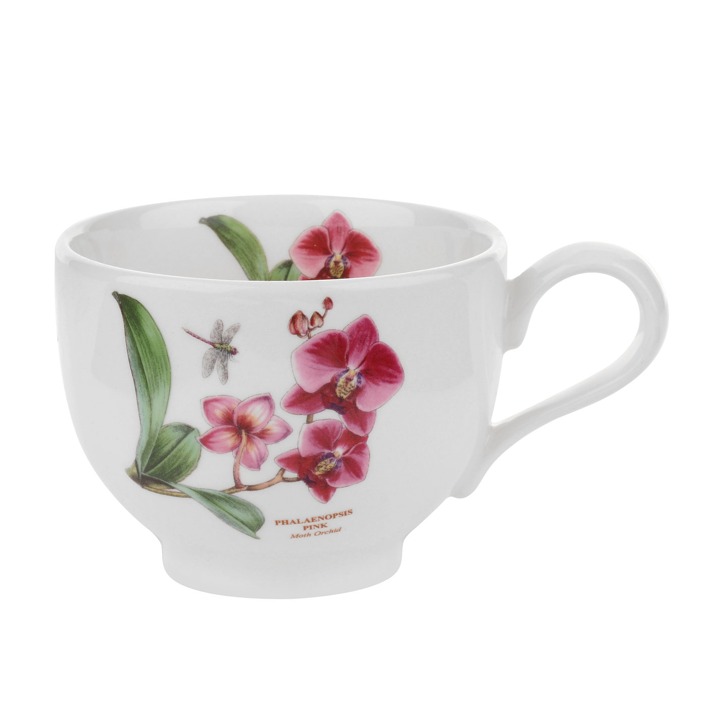 Portmeirion Exotic Botanic Garden SPARE PARTS teacup ONLY (T) Moth Orchid