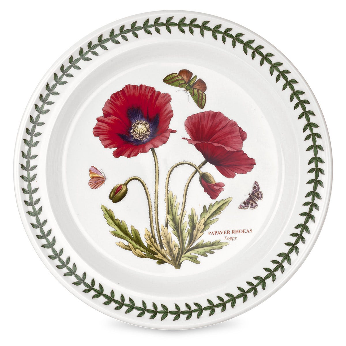 Botanic Garden Poppy Dinner Plate