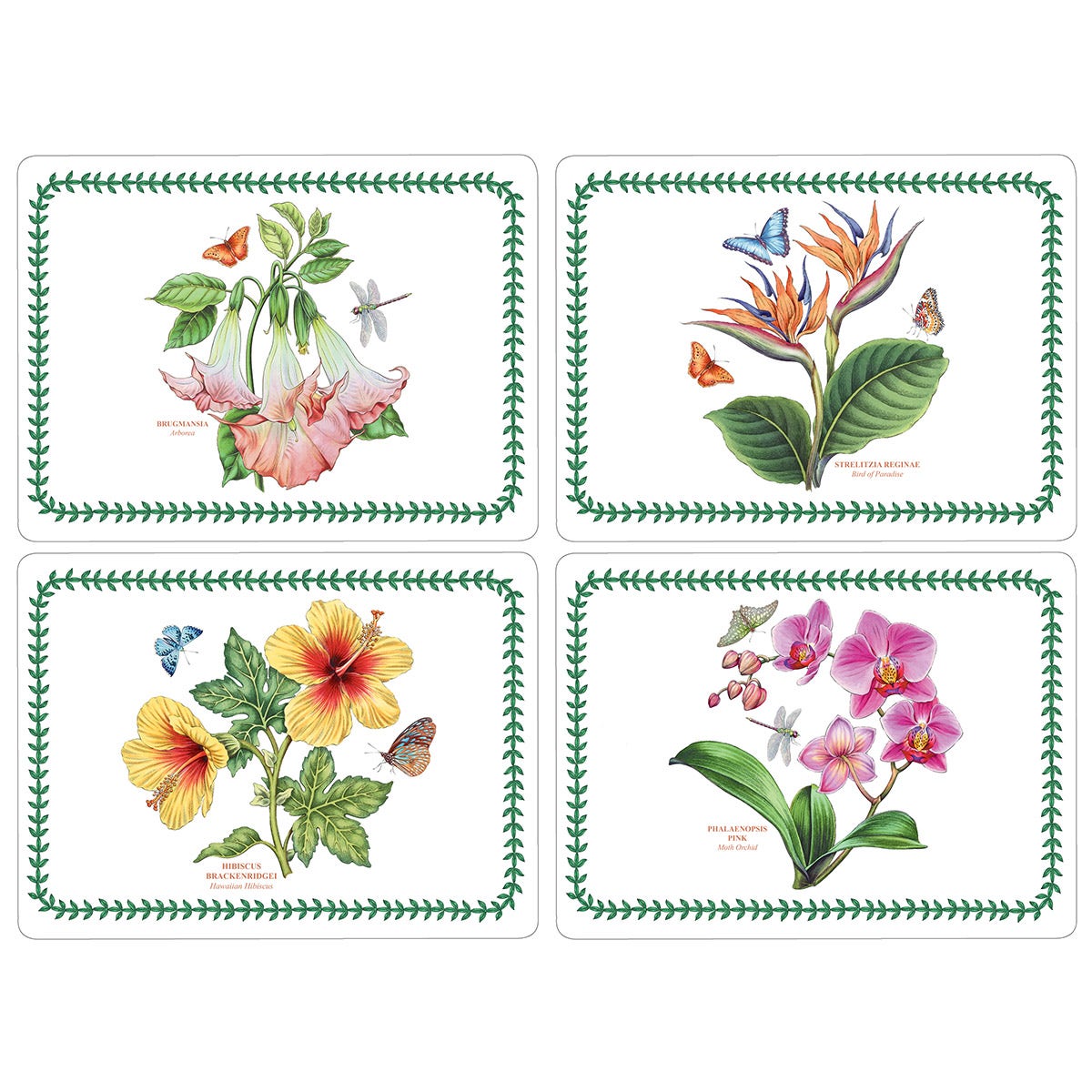 Exotic Botanic Garden Set of 4 Placemats